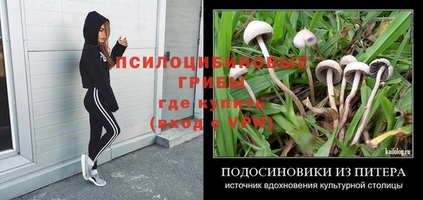 ALPHA-PVP Бугульма