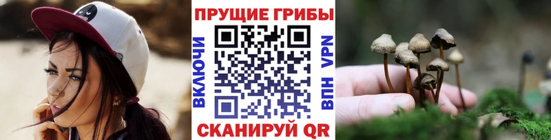 Галлюциногенные грибы MAGIC MUSHROOMS  Купить где  Вуктыл 